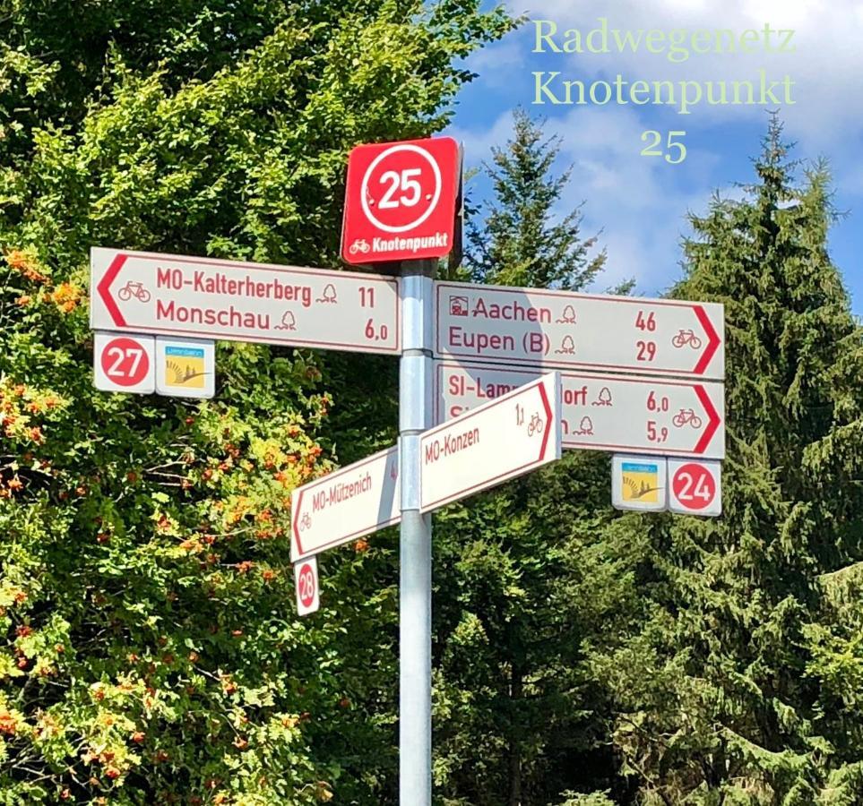 Hof Vierzehnender Im Hohen Venn - 70Qm Fachwerk-Studio - Grosses Wohn-Schlafzimmer Mit Dachterrasse Und Kaminofen - Separate Kueche - Perfekt Fuer Paare - Monschau - Eifel - Hunde Willkommen - Islandpferde エクステリア 写真