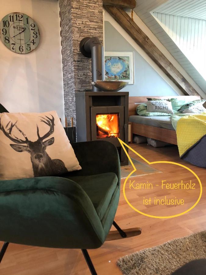Hof Vierzehnender Im Hohen Venn - 70Qm Fachwerk-Studio - Grosses Wohn-Schlafzimmer Mit Dachterrasse Und Kaminofen - Separate Kueche - Perfekt Fuer Paare - Monschau - Eifel - Hunde Willkommen - Islandpferde エクステリア 写真