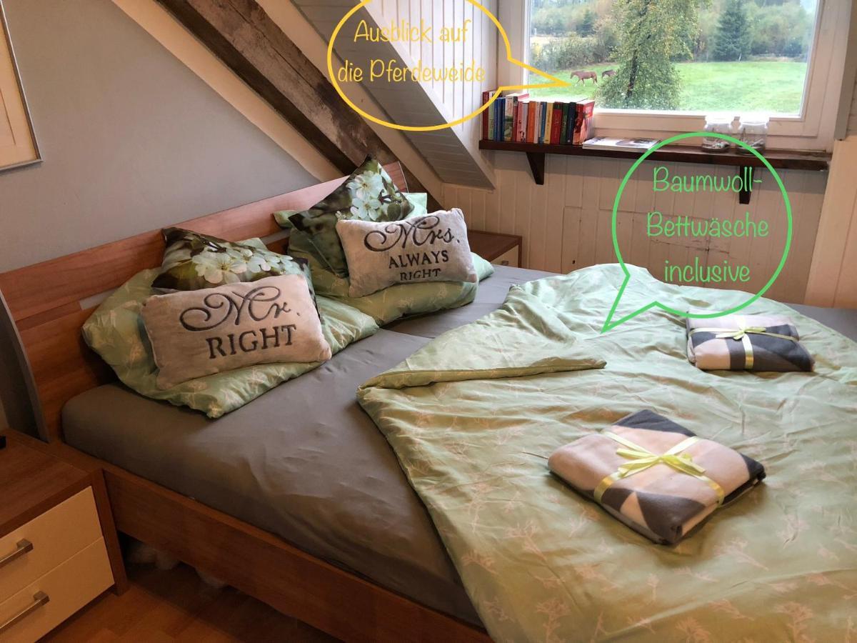 Hof Vierzehnender Im Hohen Venn - 70Qm Fachwerk-Studio - Grosses Wohn-Schlafzimmer Mit Dachterrasse Und Kaminofen - Separate Kueche - Perfekt Fuer Paare - Monschau - Eifel - Hunde Willkommen - Islandpferde エクステリア 写真