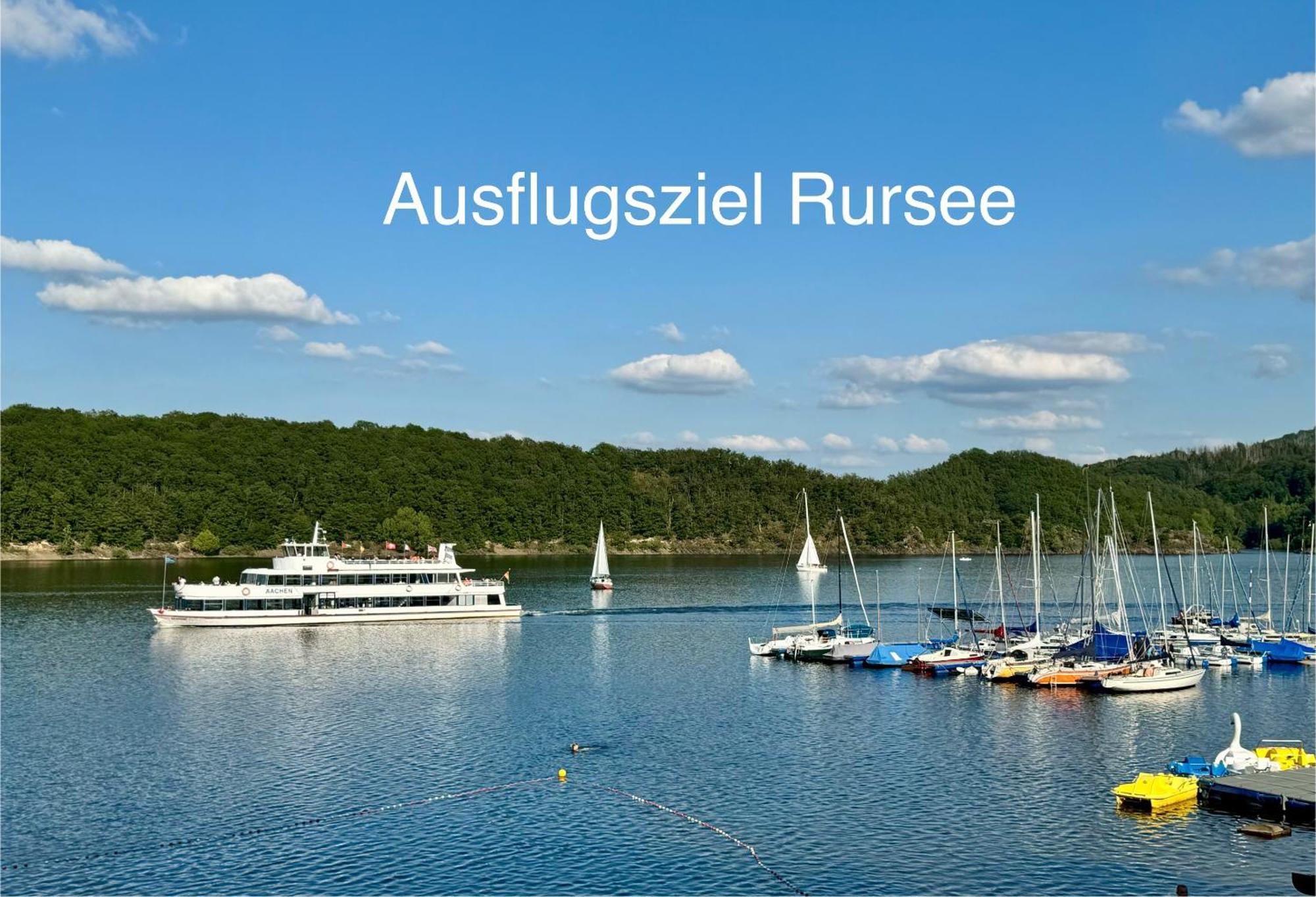 Hof Vierzehnender Im Hohen Venn - 70Qm Fachwerk-Studio - Grosses Wohn-Schlafzimmer Mit Dachterrasse Und Kaminofen - Separate Kueche - Perfekt Fuer Paare - Monschau - Eifel - Hunde Willkommen - Islandpferde エクステリア 写真
