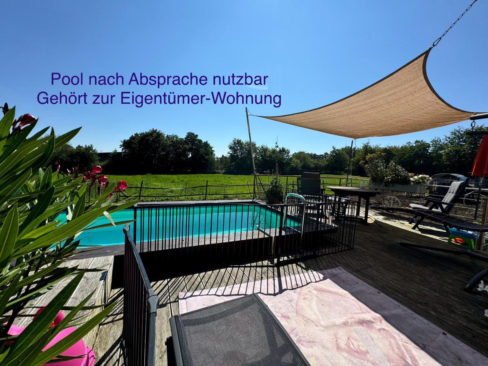 Hof Vierzehnender Im Hohen Venn - 70Qm Fachwerk-Studio - Grosses Wohn-Schlafzimmer Mit Dachterrasse Und Kaminofen - Separate Kueche - Perfekt Fuer Paare - Monschau - Eifel - Hunde Willkommen - Islandpferde エクステリア 写真