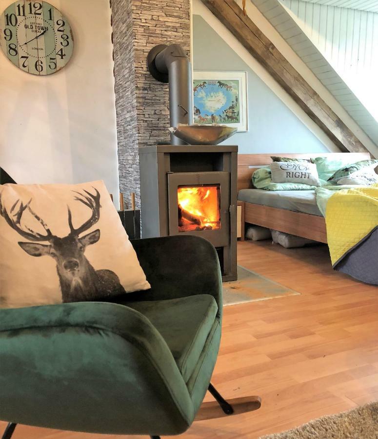 Hof Vierzehnender Im Hohen Venn - 70Qm Fachwerk-Studio - Grosses Wohn-Schlafzimmer Mit Dachterrasse Und Kaminofen - Separate Kueche - Perfekt Fuer Paare - Monschau - Eifel - Hunde Willkommen - Islandpferde エクステリア 写真