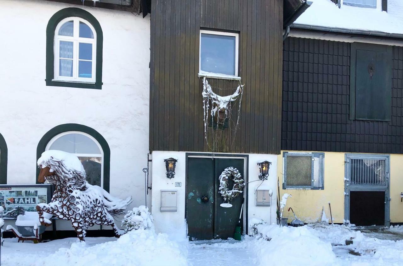 Hof Vierzehnender Im Hohen Venn - 70Qm Fachwerk-Studio - Grosses Wohn-Schlafzimmer Mit Dachterrasse Und Kaminofen - Separate Kueche - Perfekt Fuer Paare - Monschau - Eifel - Hunde Willkommen - Islandpferde エクステリア 写真