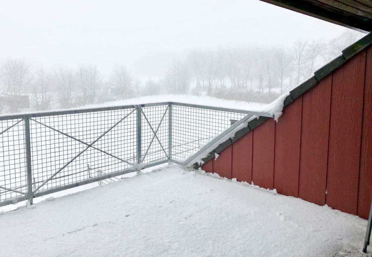 Hof Vierzehnender Im Hohen Venn - 70Qm Fachwerk-Studio - Grosses Wohn-Schlafzimmer Mit Dachterrasse Und Kaminofen - Separate Kueche - Perfekt Fuer Paare - Monschau - Eifel - Hunde Willkommen - Islandpferde エクステリア 写真